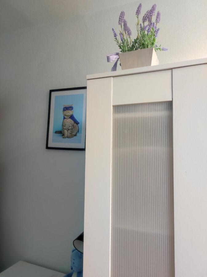 Single Room No.4 In The Very Center Of Warszawa Eksteriør billede